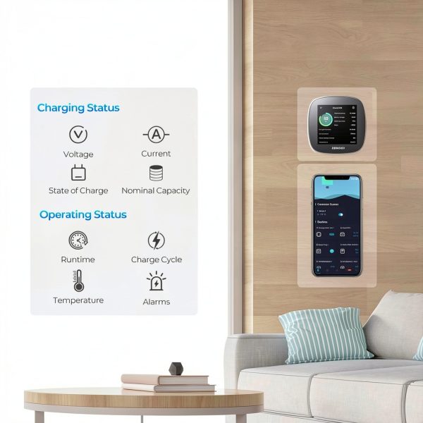 Renogy Battery Shunt 300 Monitor Remote Control App-6