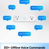 Emerson SmartVoice Dual Wall Plug Offline Voice Control-3